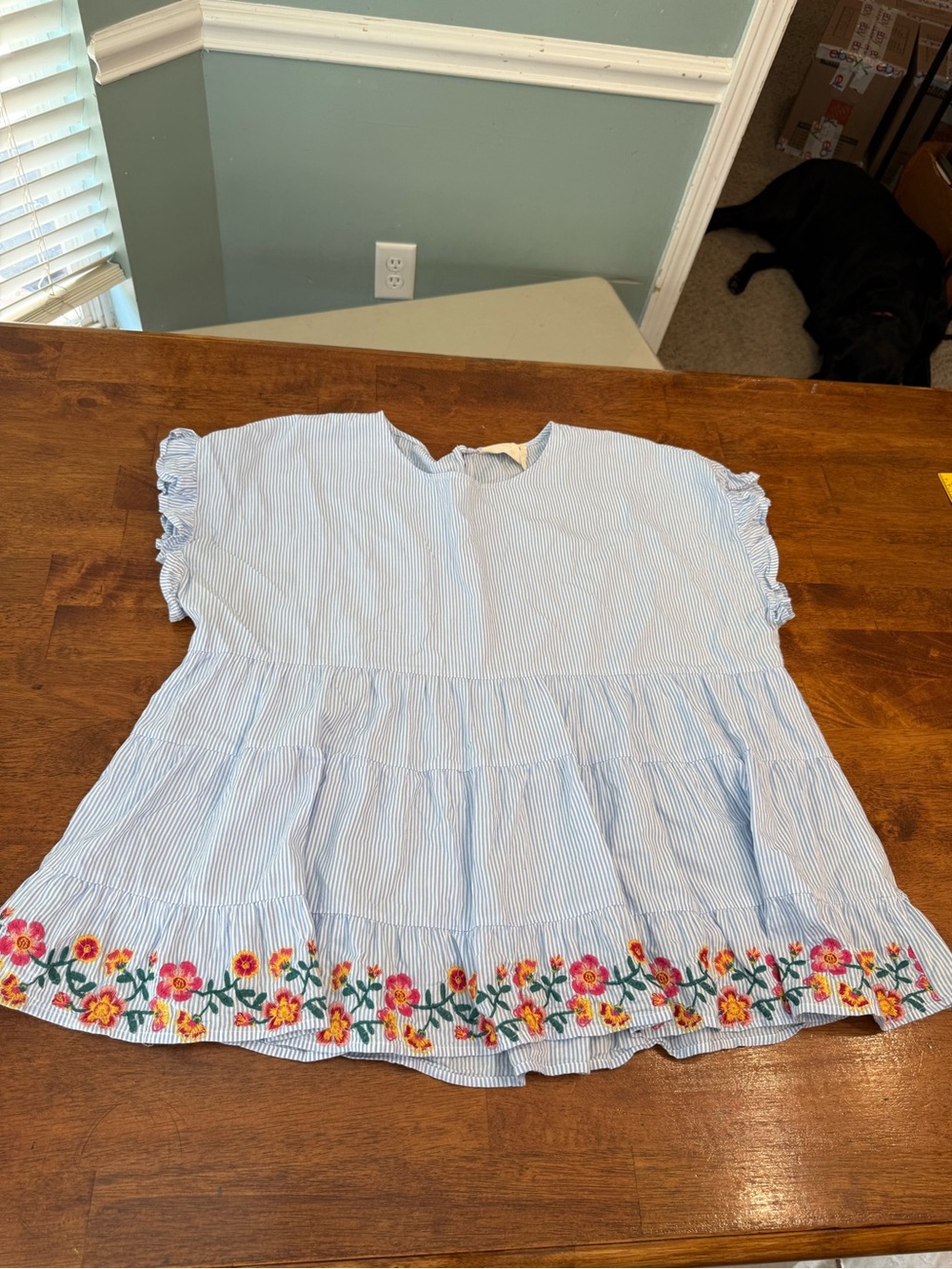 Savanna Jane Women's Plus 2X Blue White Striped Embroidered Babydoll Blouse